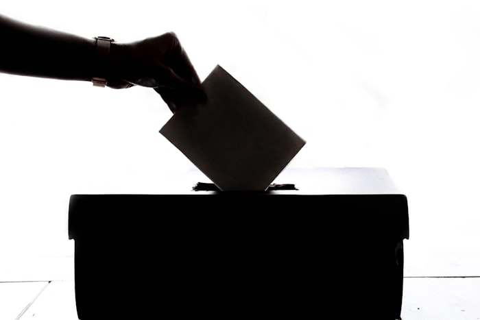 Casting a vote