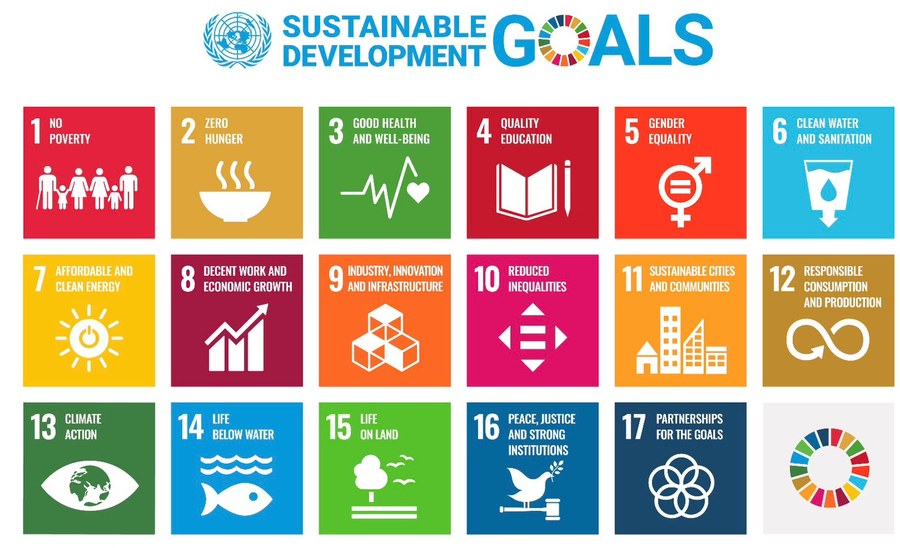 The United Nations Sustainable Development Goals